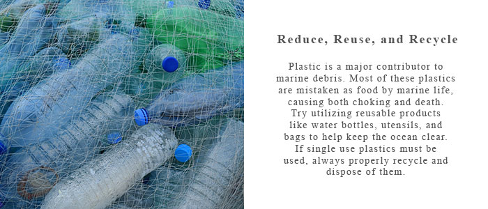 ditch-plastic-banner-rts-v2.jpg