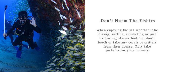 dont-harm-fish-banner-rts-v2.jpg